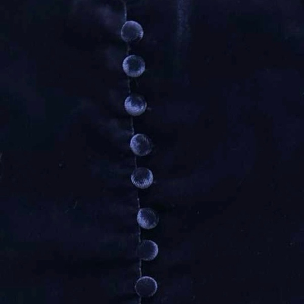 Madewell Blue Velvet Button Front Cami Top Size 2 - Picture 6 of 9
